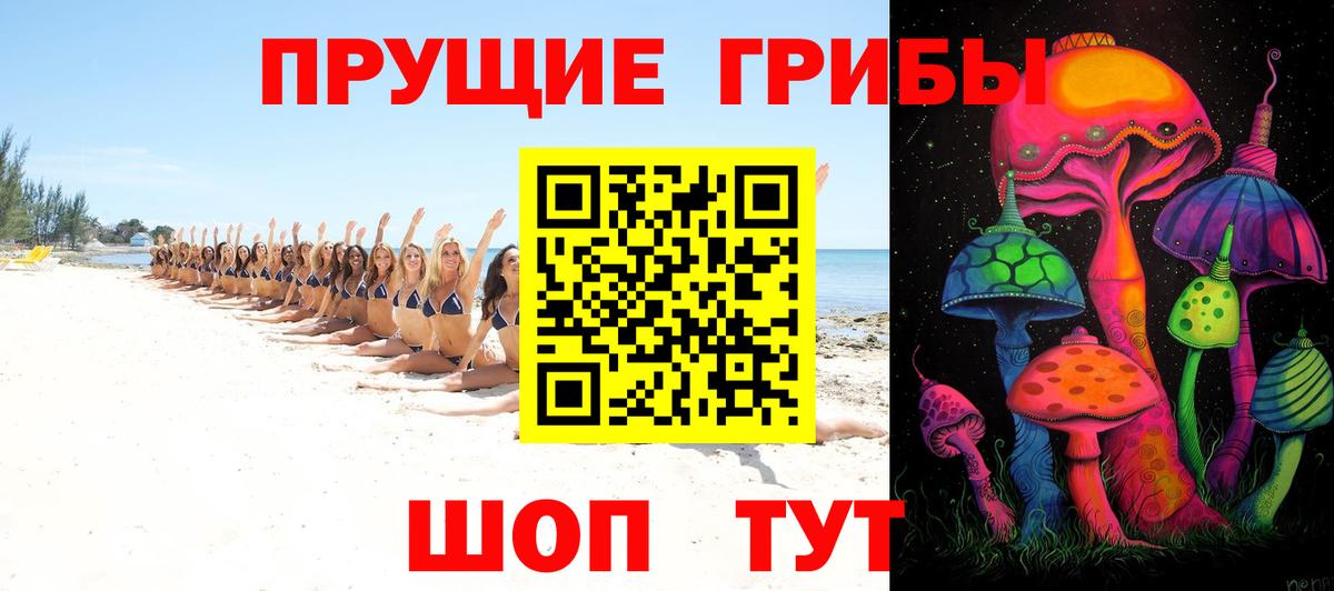 Королёв  Галлюциногенные грибы MAGIC MUSHROOMS  Вход с VPN 